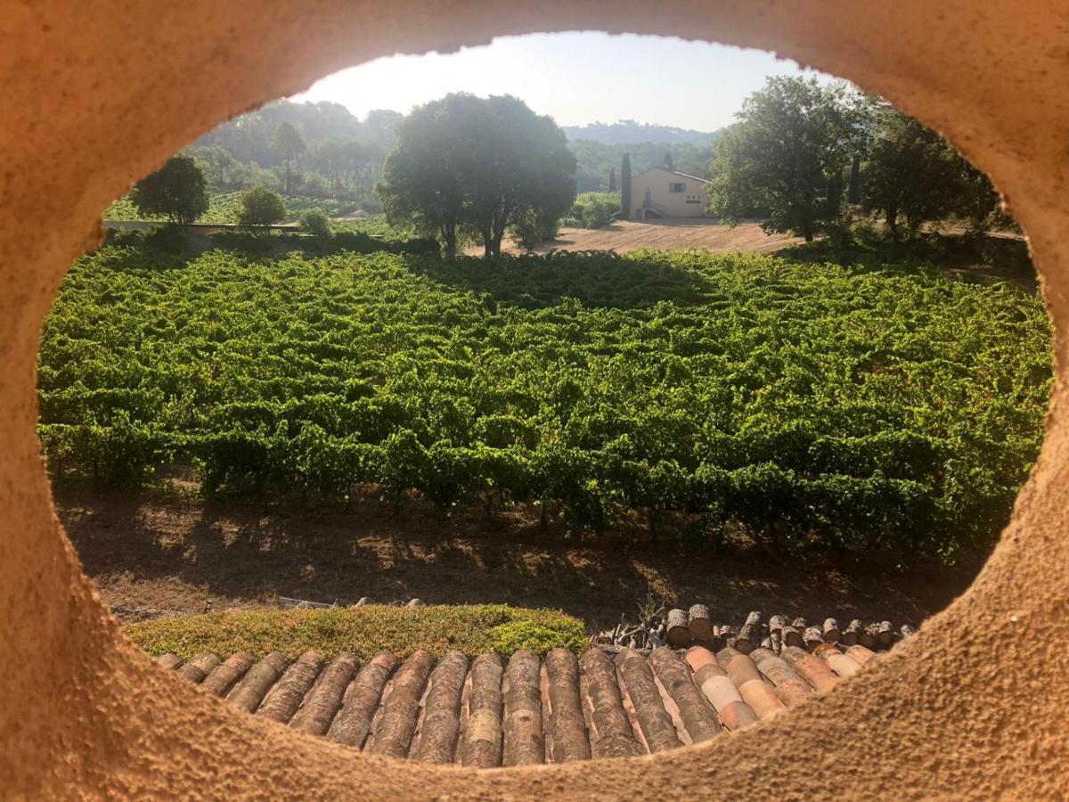 Domaine Du Clos D'Alari-Chambres D'Hotes Au Milieu Des Vignes Saint-Antonin-du-Var Bagian luar foto
