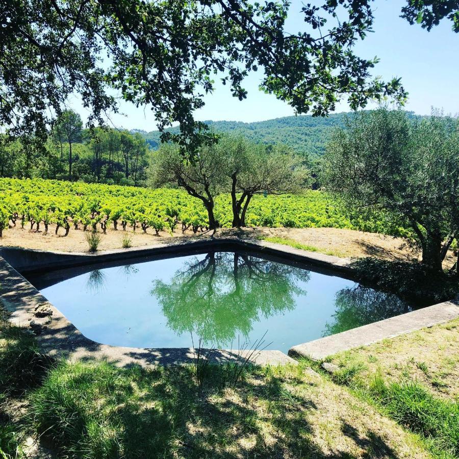Domaine Du Clos D'Alari-Chambres D'Hotes Au Milieu Des Vignes Saint-Antonin-du-Var Bagian luar foto