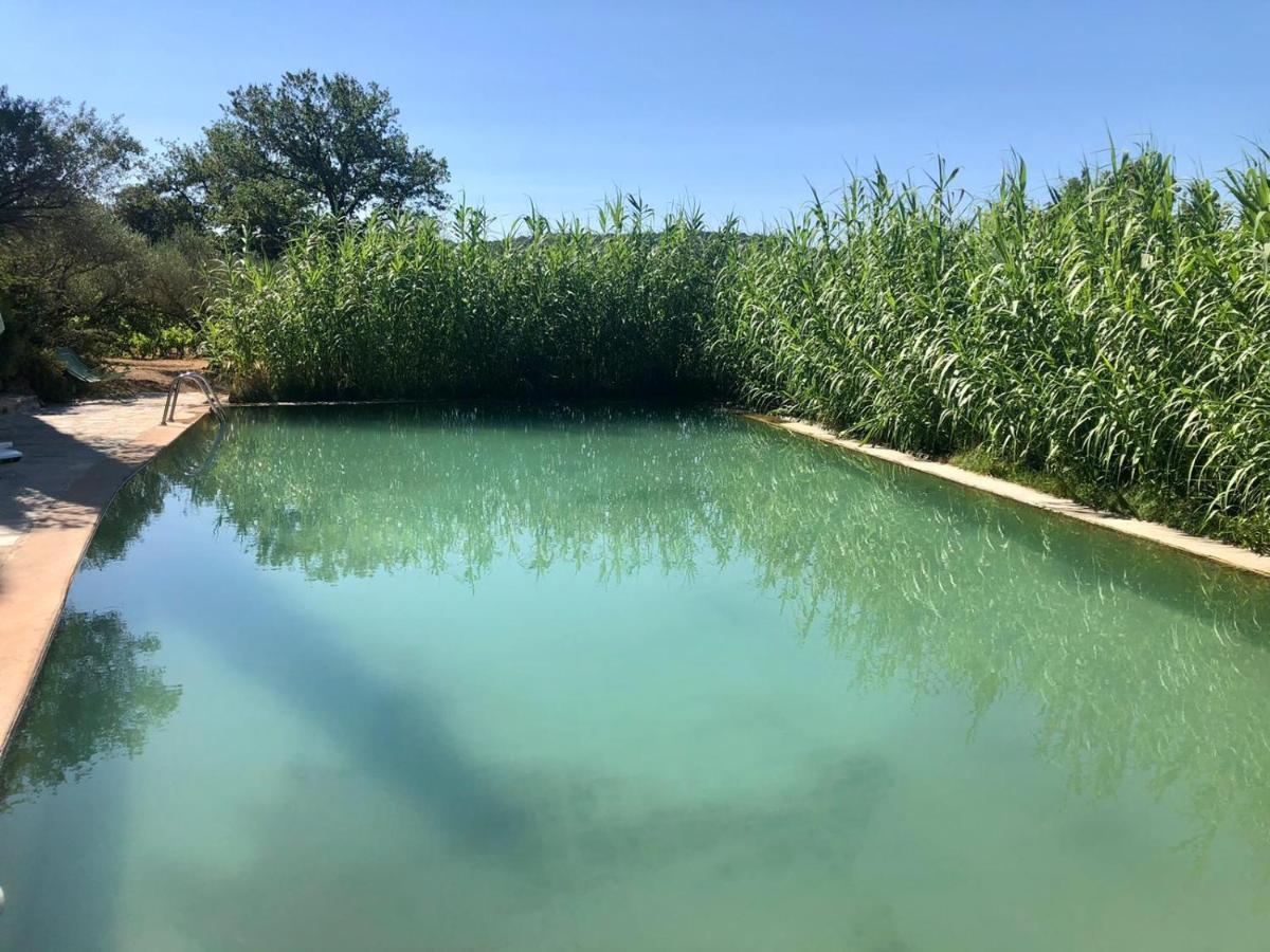 Domaine Du Clos D'Alari-Chambres D'Hotes Au Milieu Des Vignes Saint-Antonin-du-Var Bagian luar foto