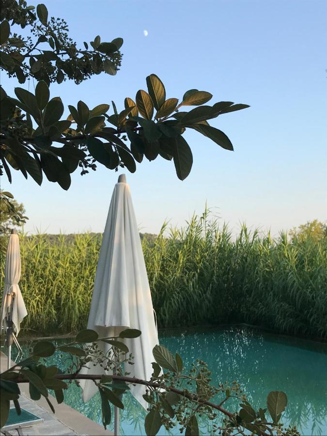 Domaine Du Clos D'Alari-Chambres D'Hotes Au Milieu Des Vignes Saint-Antonin-du-Var Bagian luar foto