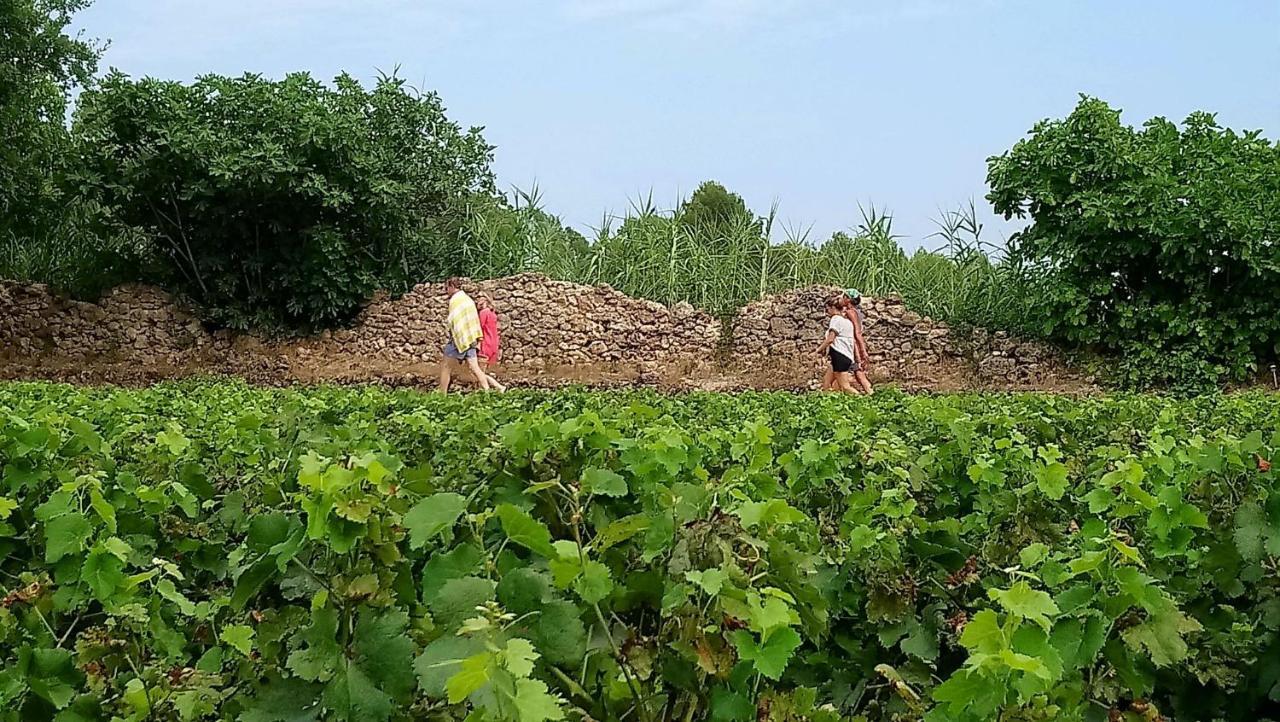 Domaine Du Clos D'Alari-Chambres D'Hotes Au Milieu Des Vignes Saint-Antonin-du-Var Bagian luar foto