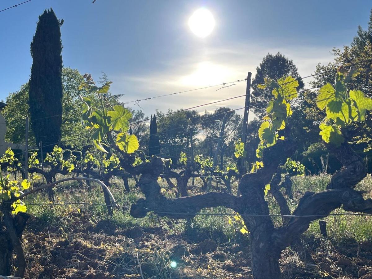 Domaine Du Clos D'Alari-Chambres D'Hotes Au Milieu Des Vignes Saint-Antonin-du-Var Bagian luar foto