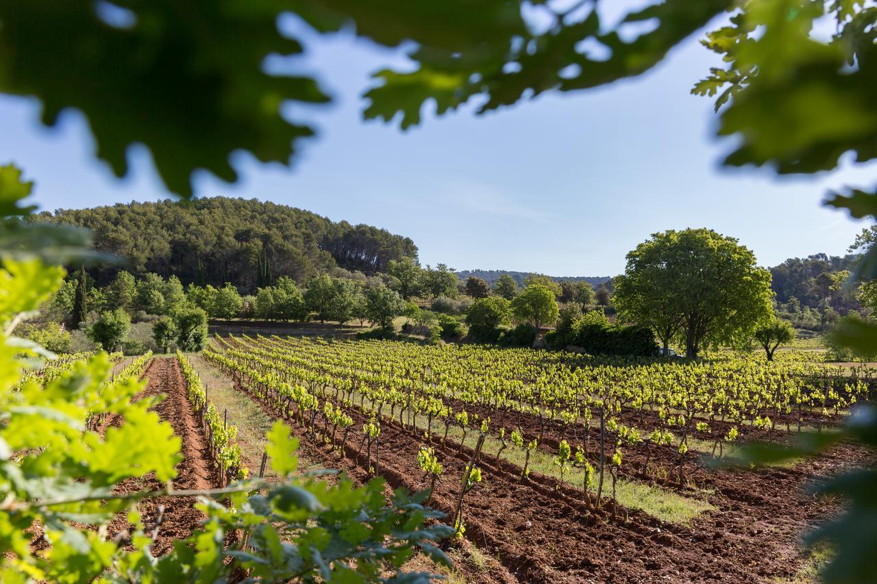 Domaine Du Clos D'Alari-Chambres D'Hotes Au Milieu Des Vignes Saint-Antonin-du-Var Bagian luar foto